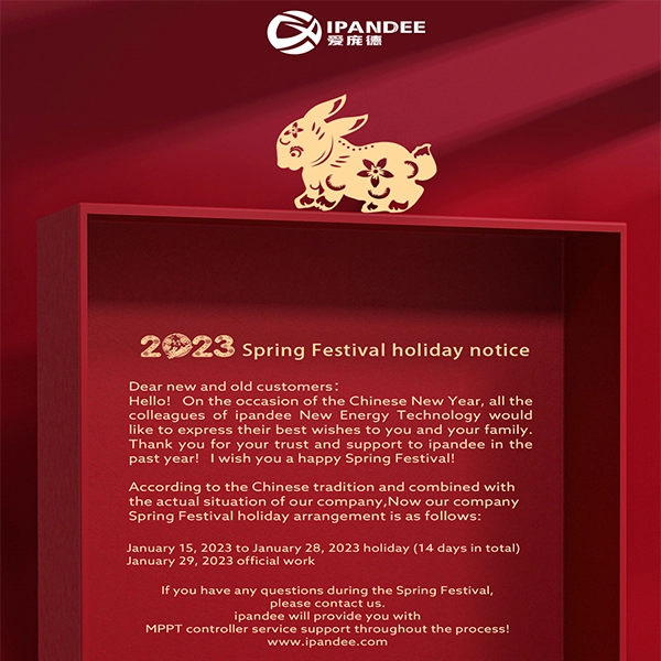 2023 ogłoszenie o wakacjach ipandee Spring Festival
